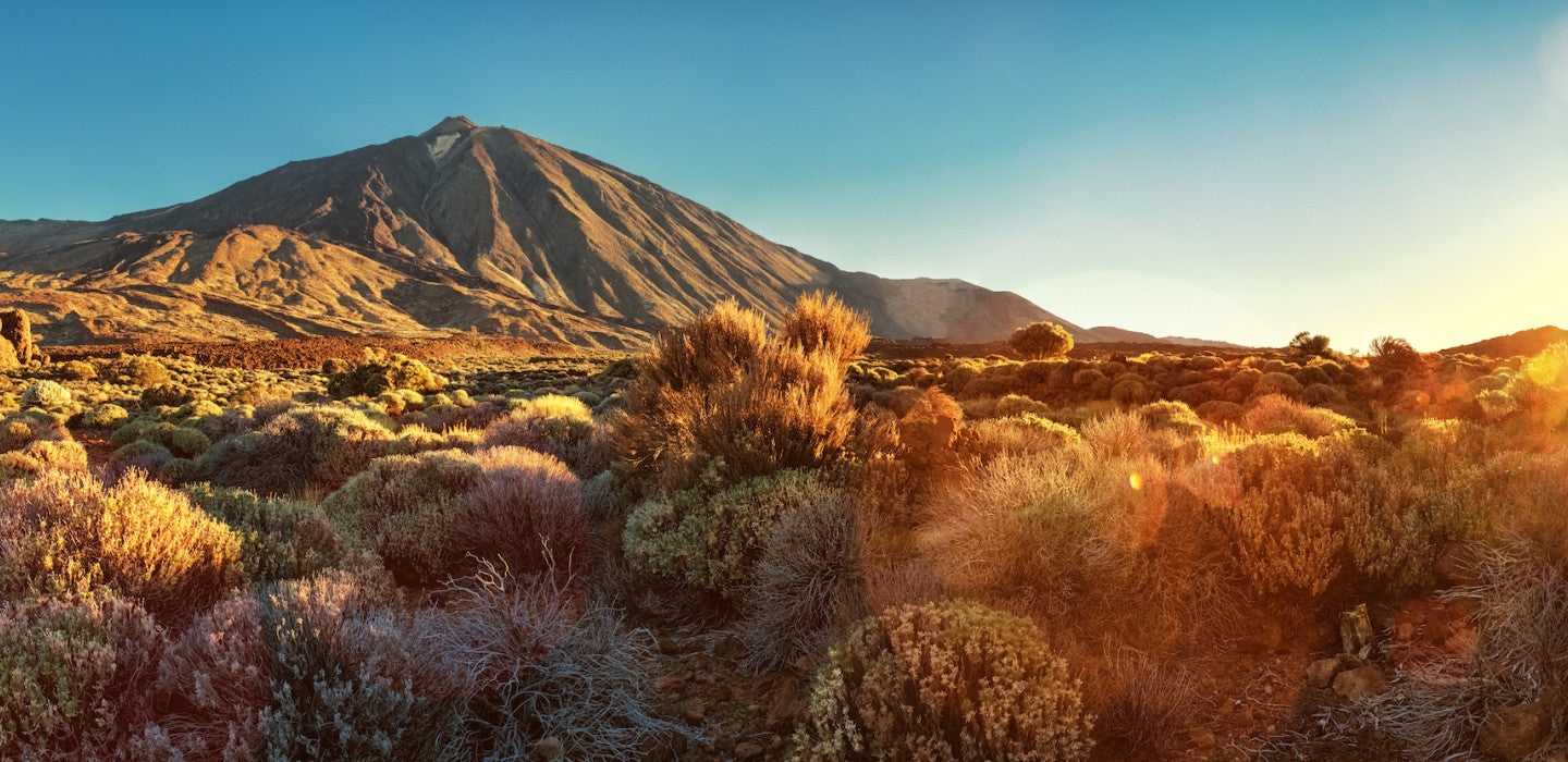 Revealing the Exquisite Recreate of Barraquito: The Canary Island’s Coffee Specialty