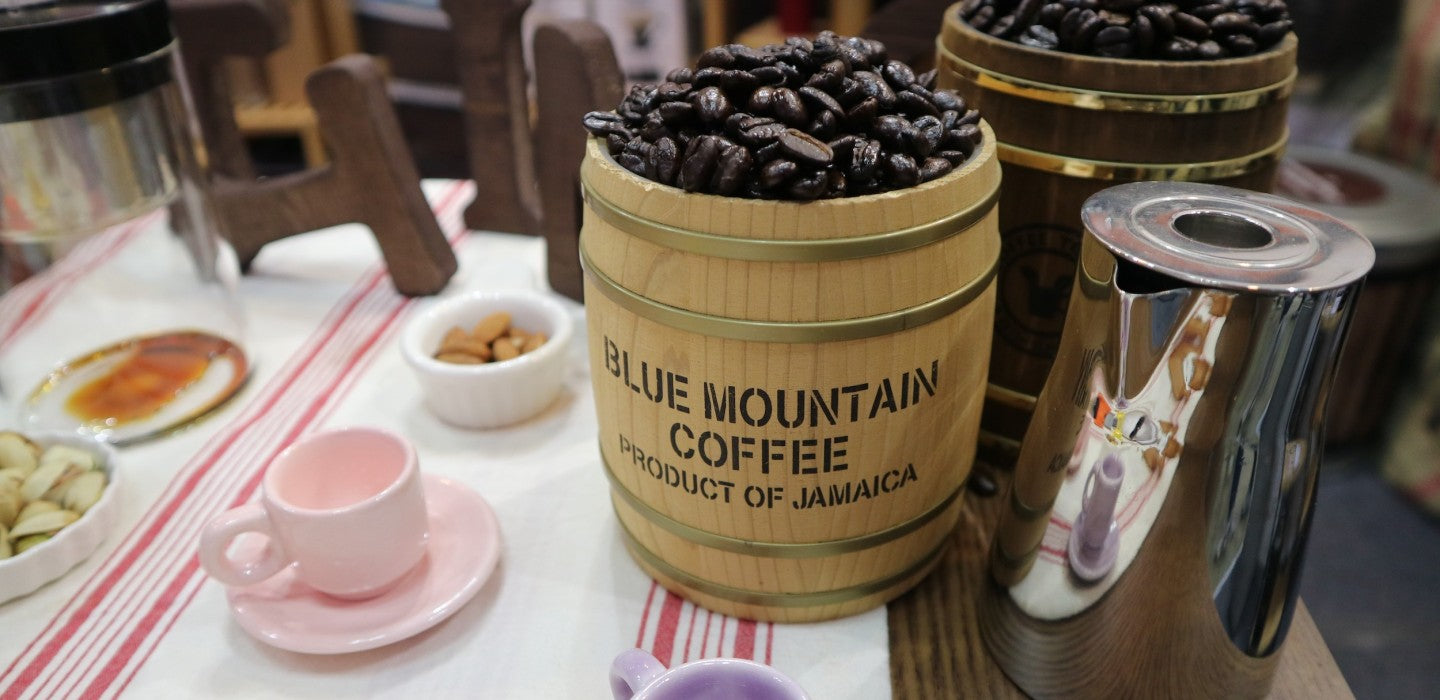 The Quintessence of Quality Coffee An Introduction to Blue Mountain C