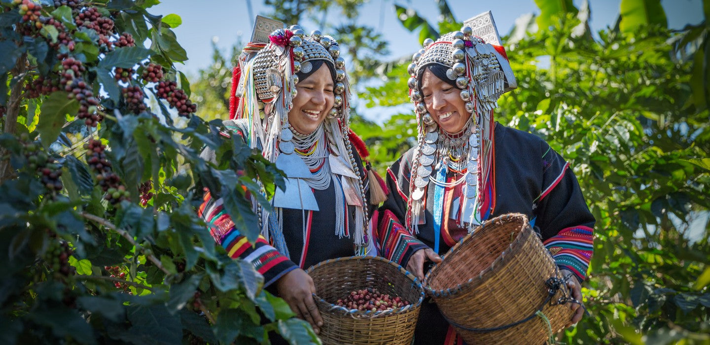 Unraveling Excelso: A Gem from the Colombian Coffee Landscape