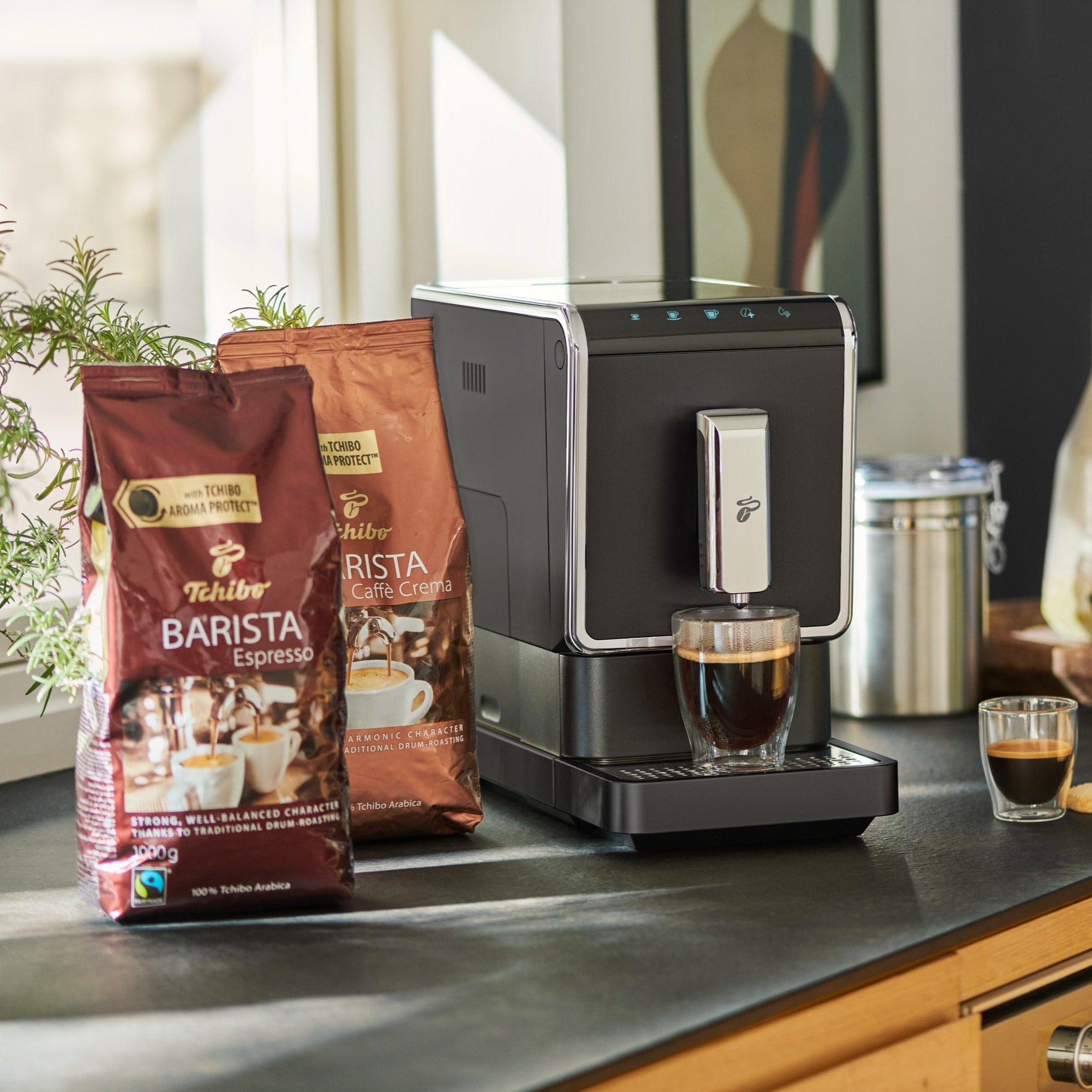 Big Box Barista Pack