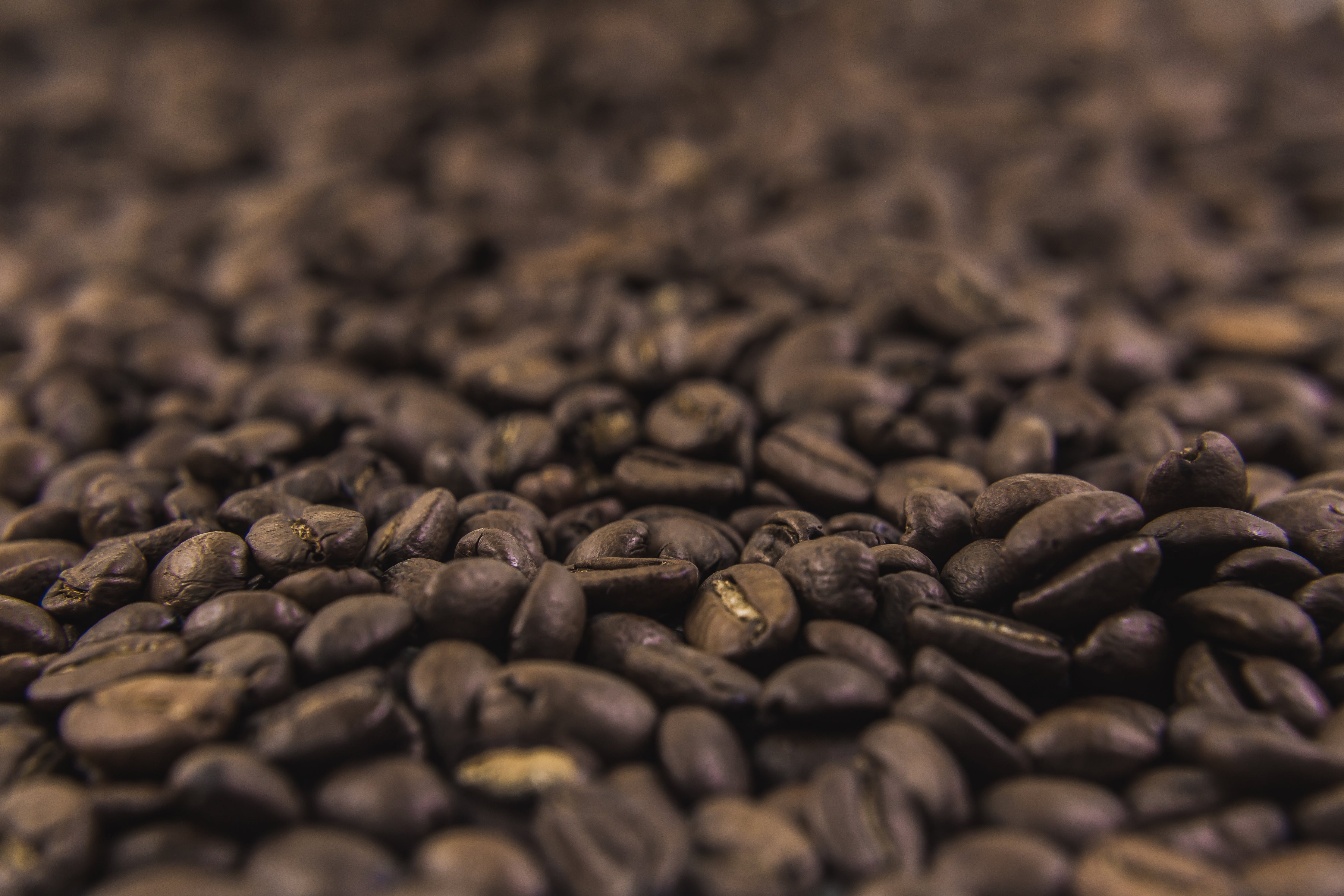 Whole Bean Coffee